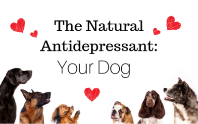 The Natural Antidepressant: Your Dog