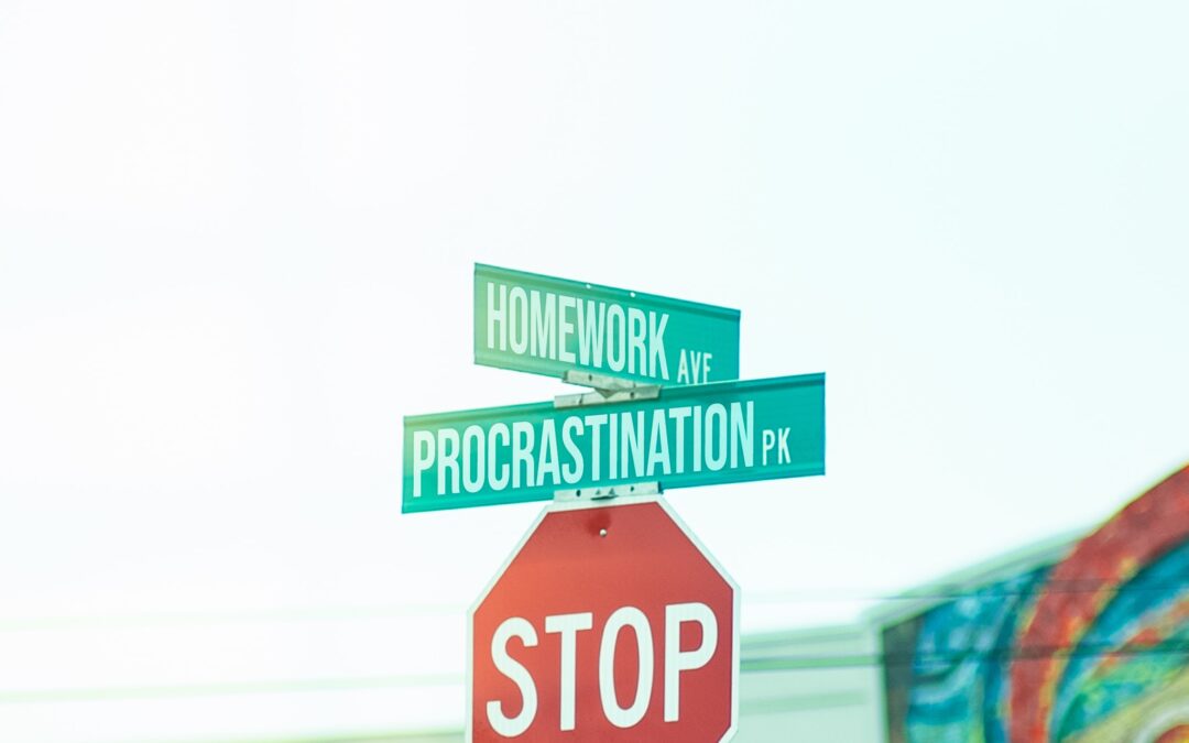 Stop sign with photoshoped street names: "Homework Ave" and "Procrastination Pk".