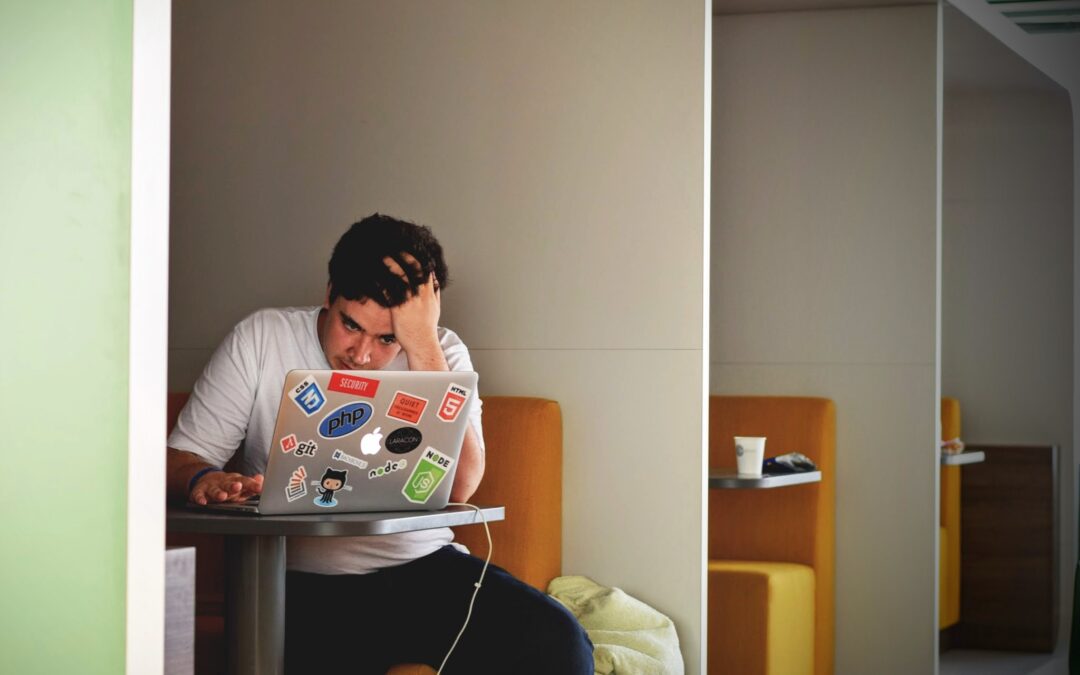 Student studying in a cubicle on a computer