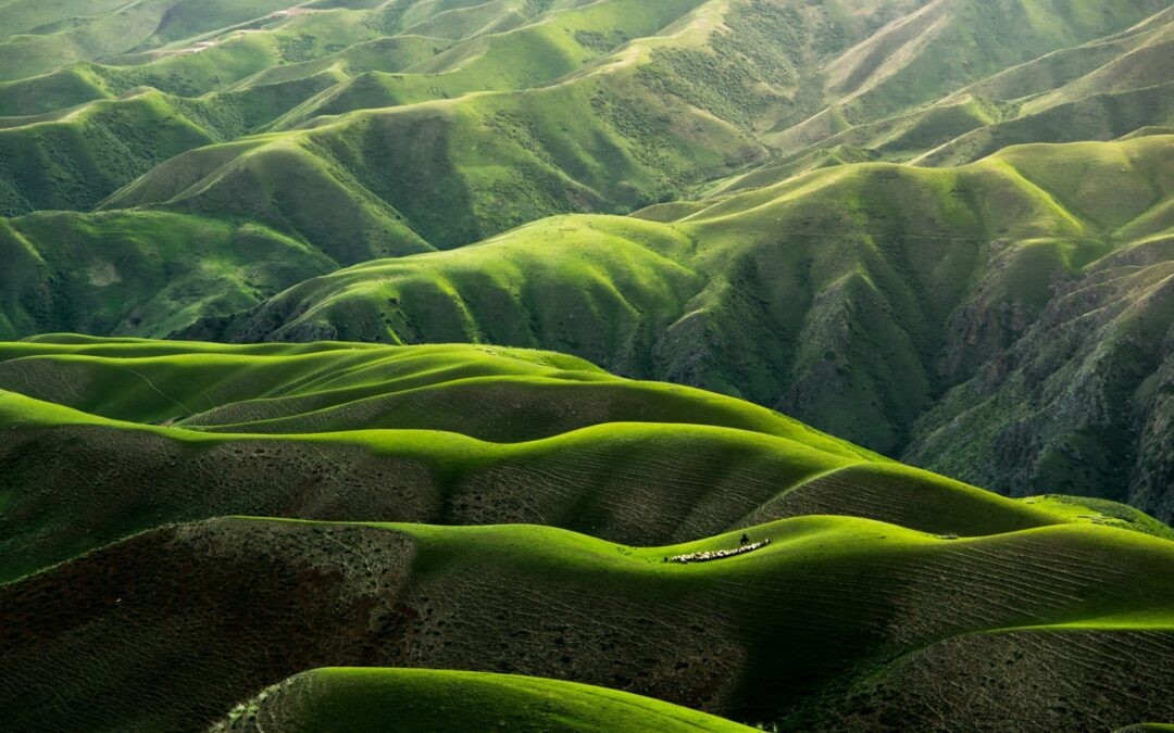 Rolling Mountains and forests