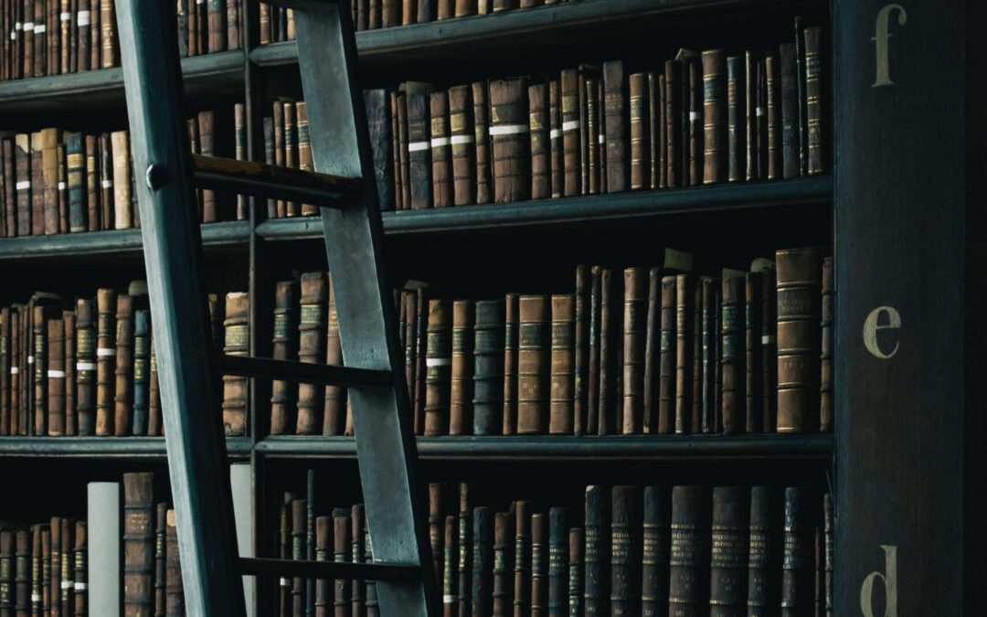 Large bookshelf full of books with ladder