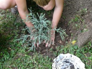 Gardener